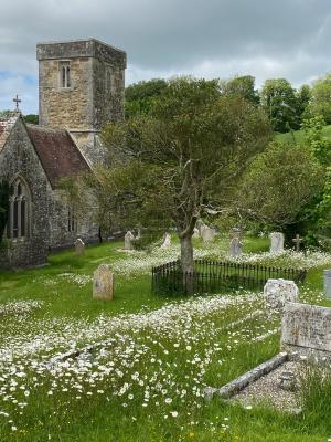 long-bredy-st-peter-dorchester