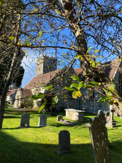 motcombe-st-mary-motcombe