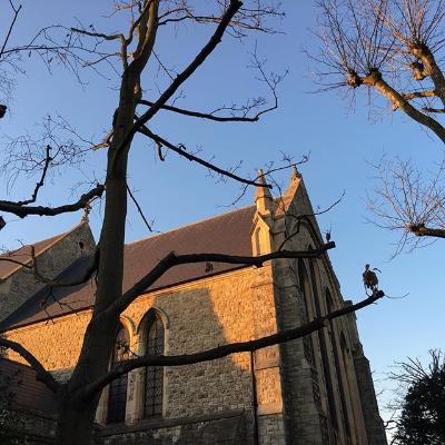 st-catherine-s-church-hatcham-london