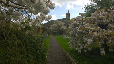 st-edwards-chilton-polden-chilton-polden