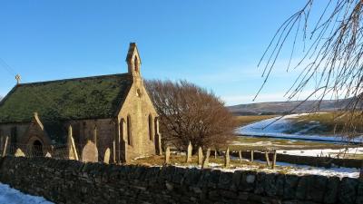 st-james-forest-in-teesdale